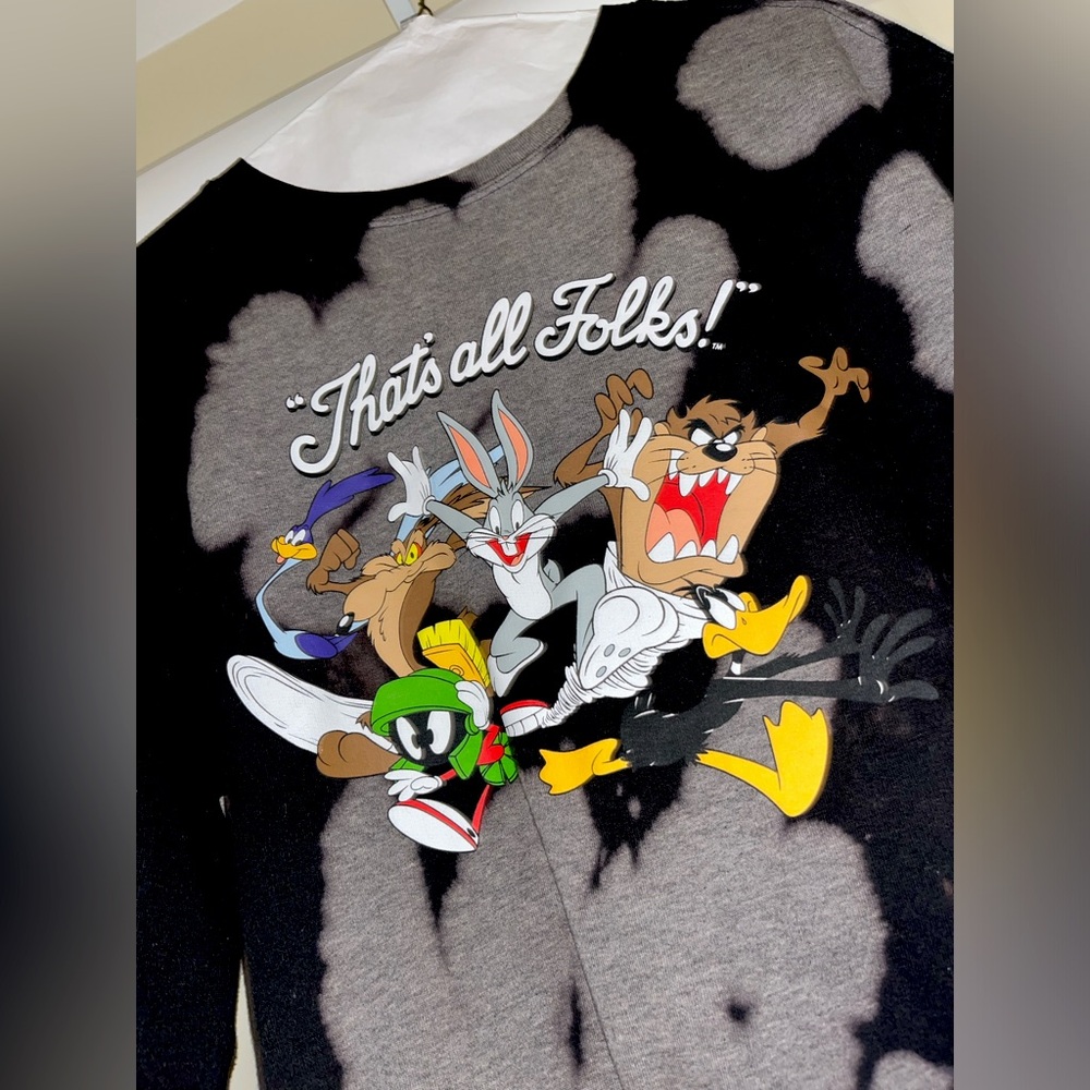 Looney Tunes Warner Bros “That’s all Folks!” Sweatshirt size Small
